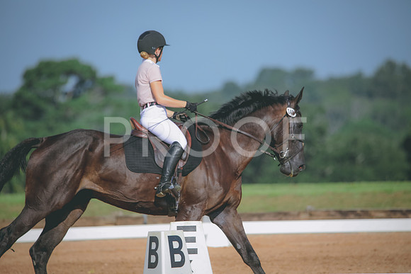 RWP_4628