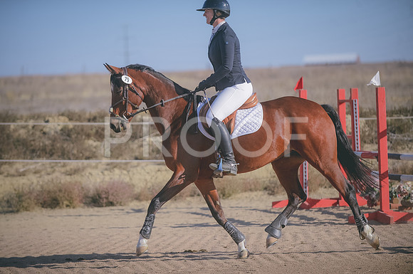 JJS_0081