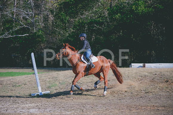 JJS_0827