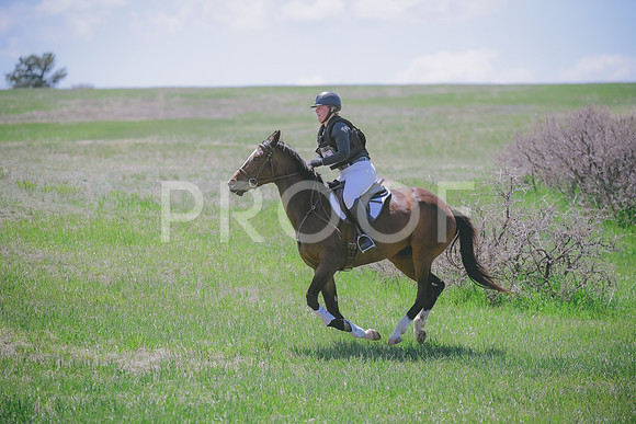 _DSC0500