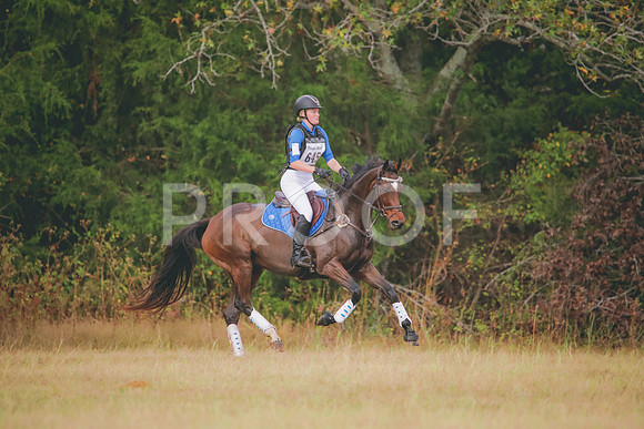 RWP_3077