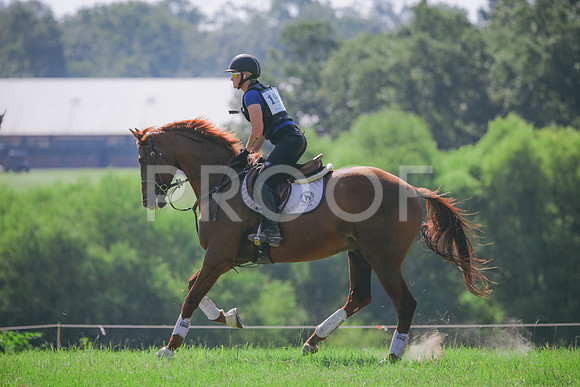 RWP_6480