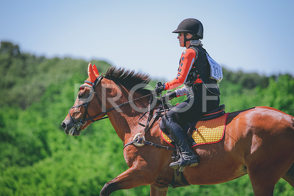 RWP_1160