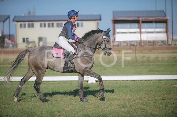 JJS_1717