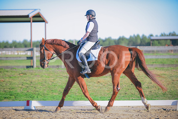 JJS_5849