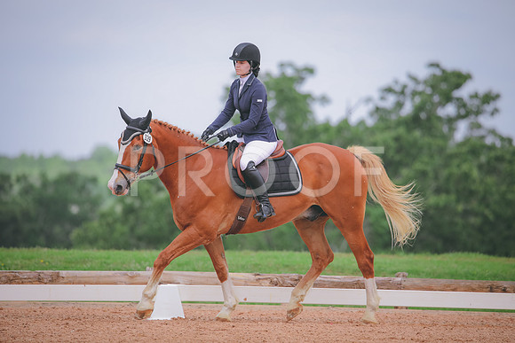 RWP_4225