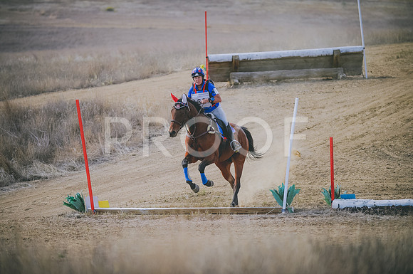 JJS_0988