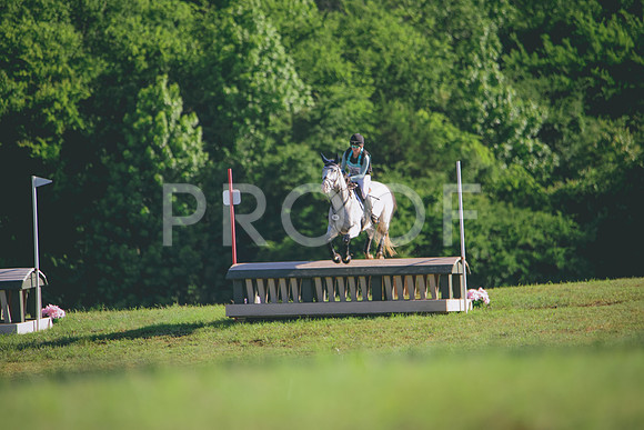 RWP_2419