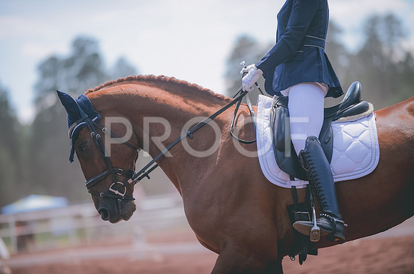 JJS_0291