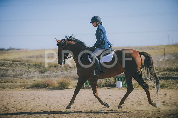 JJS_3620A
