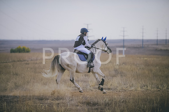 JJS_4452