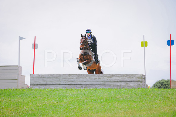 RWP_4599