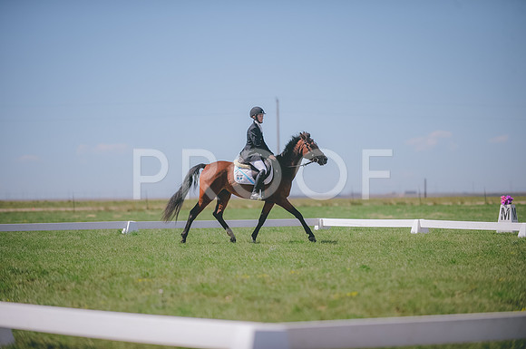 JJS_3286