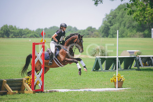 RWP_3867