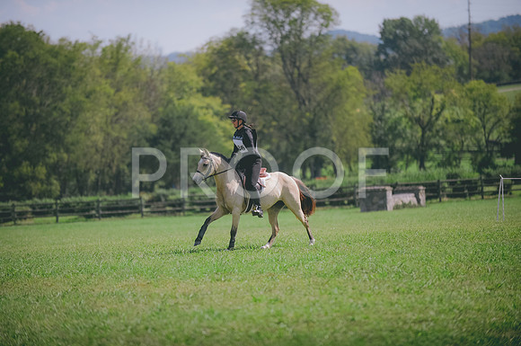 JJS_7032