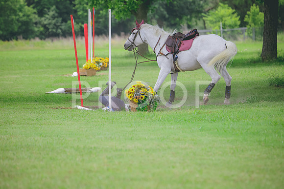 RWP_2810