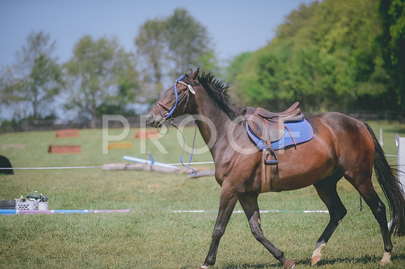JJS_4718