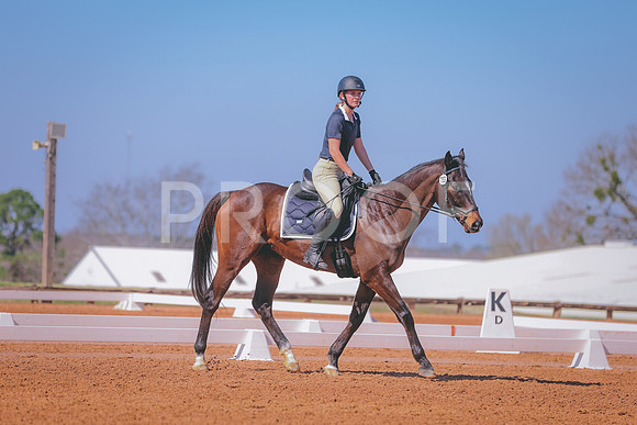 CDP_2973