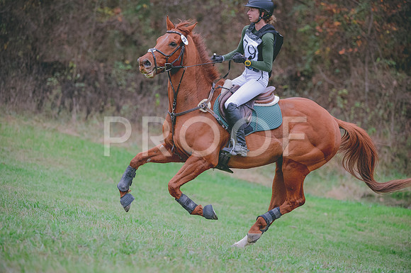JJS_1449