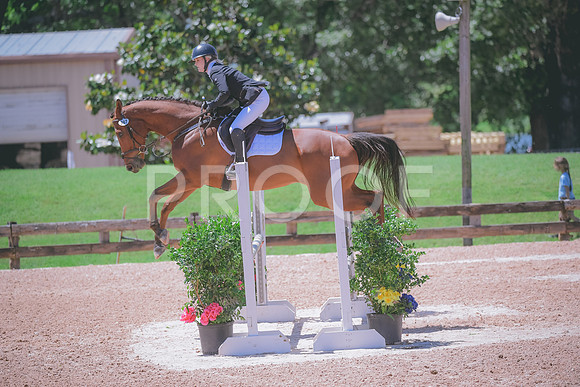 _DSC4450