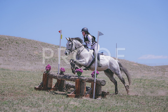 CDH_0319