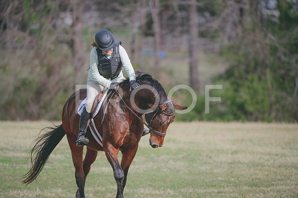 JJS_0981