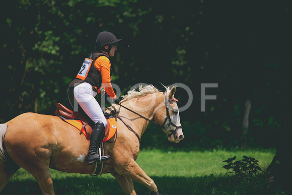 RWP_3931