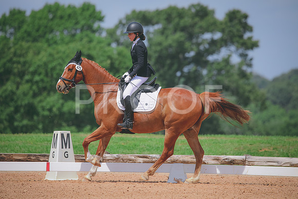 RWP_4407