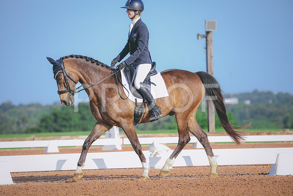 RWP_3696