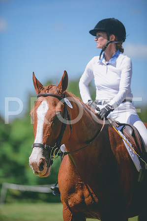JJS_0646