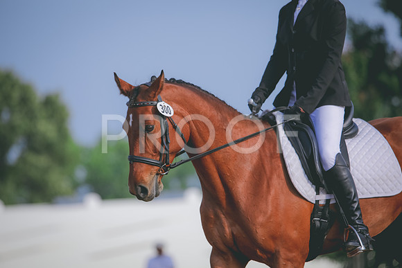 RWP_3755