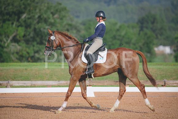 RWP_4418