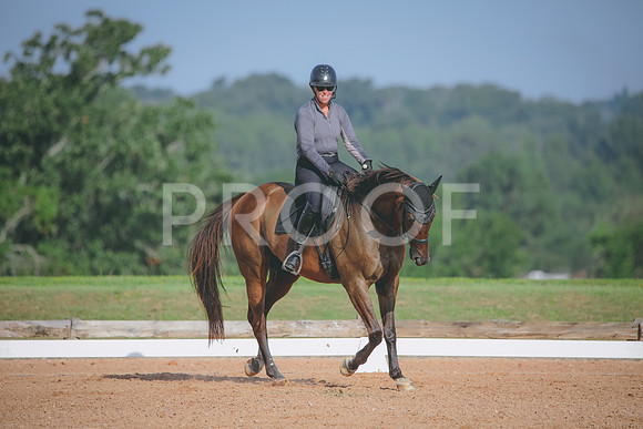 RWP_4528
