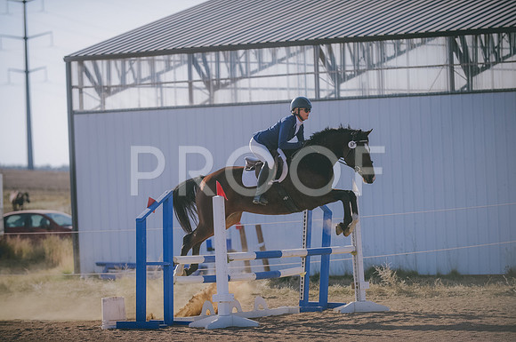 JJS_8905