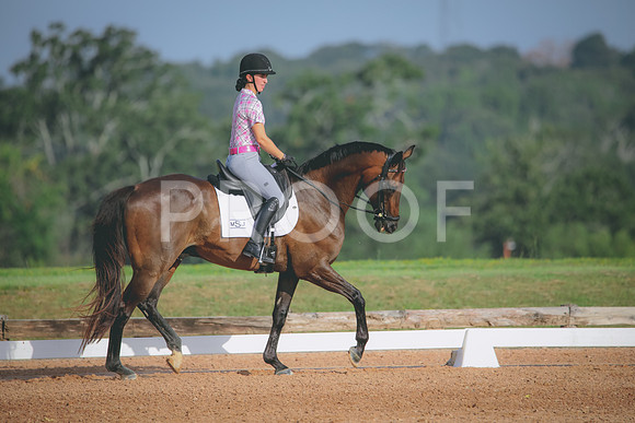 RWP_4352