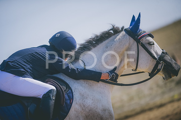 JJS_3979