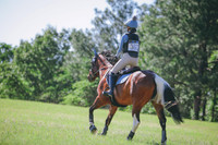 RWP_1377