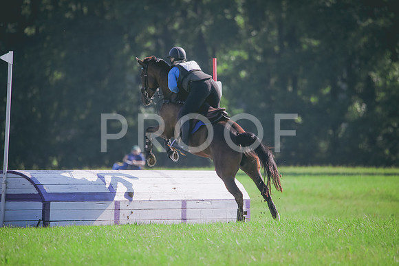 RWP_6181