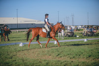 JJS_3878