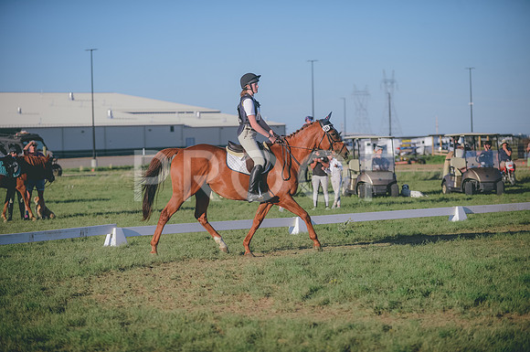 JJS_3878