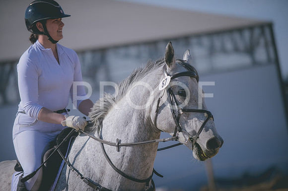 JJS_2613