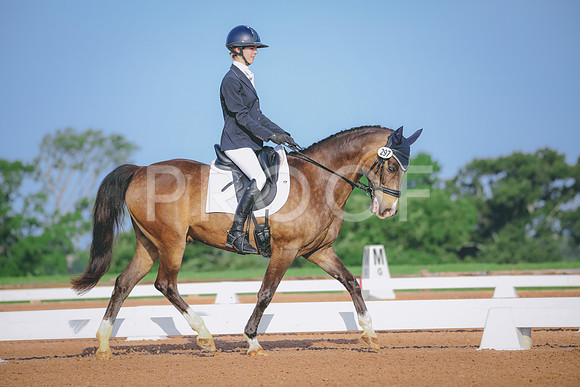 RWP_3686