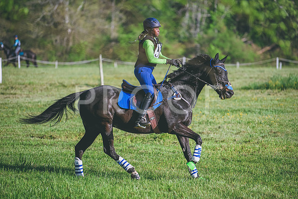 MEL_5379