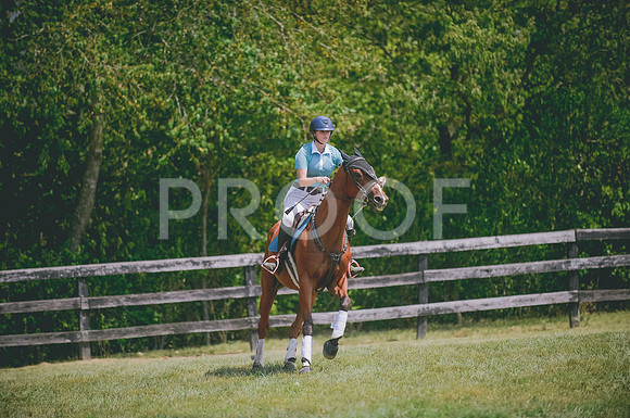 JJS_7229