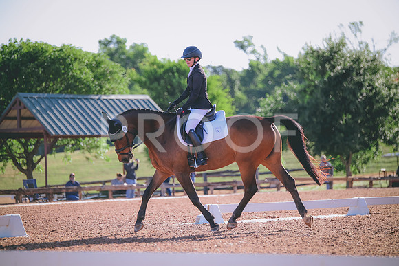 RWP_9272