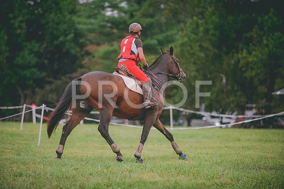 JJS_2088