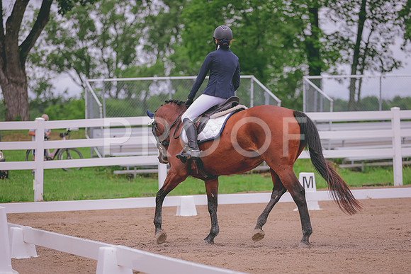 HLJ_6099