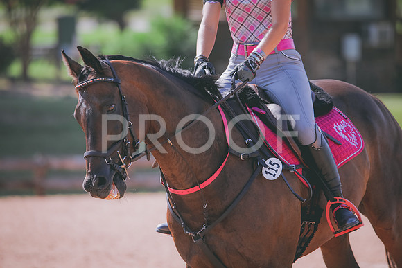 RWP_4781