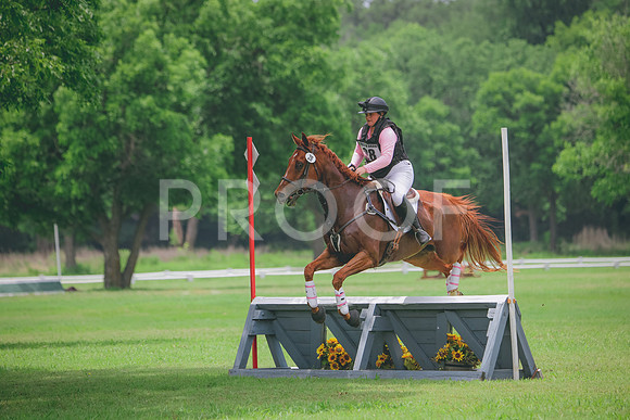 RWP_2289