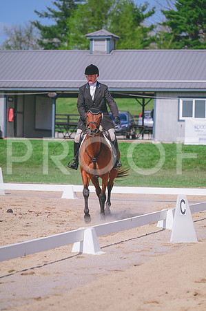 DSC_0369 copy